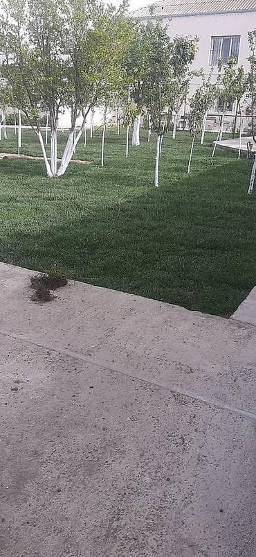 qazon picen: Salam qazon sifarisi catdirilma ve yere serilmesi unvana ve kvadrata — 6