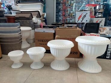 Digər bitkilər: Dibçək. Müxtəlif ölçü və modellər mövcuddur. Fərqli qiymətlərdədir — 12