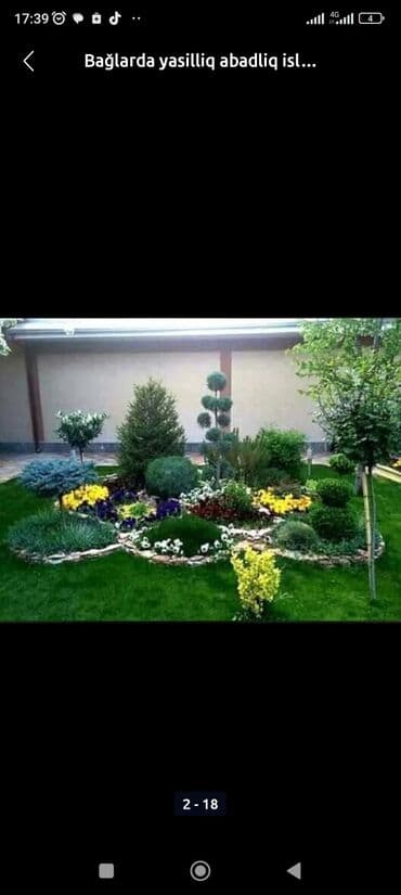 yonca toxum: Qazon çatrlma qurasdirma torf gubresinn satişi butun yasiliqa aid — 20