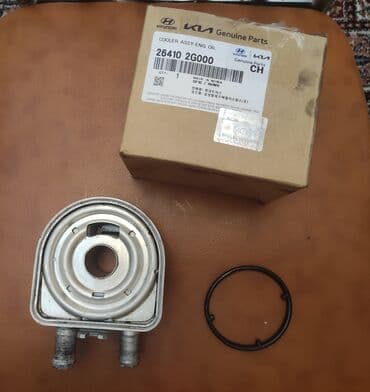 Çaydanlar: Kia Optima 2012 kitabça.Prakladkasi cırılıb deyə zbor dəyişilib — 2