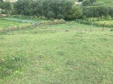 memar ecemi kiraye ev: 5 sot, Tikinti, Maklerlər narahat etməsin, Kupça (Çıxarış) — 11