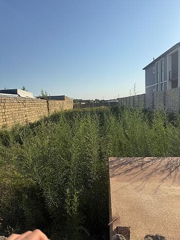 topaq: 6 sot, Tikinti, Mülkiyyətçi, Kupça (Çıxarış) — 2