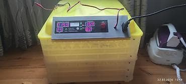 Сельско-хозяйственное оборудование: Полностью автоматическая — 4