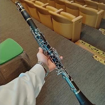 klarnet: - Səhnə və studiya istifadəsinə uyğundur; ansambl və solo üçün — 1