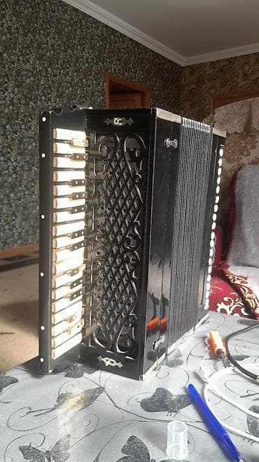 Akustik Akkordeon, Yeni, Ödənişli çatdırılma lalafo.az -da Akustik Akkordeon, Yeni, Ödənişli çatdırılma