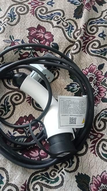 qosqu ev: Elektrik avtomobili üçün şarj kabeli və qoşucu - Tip: EV şarj kabeli — 1
