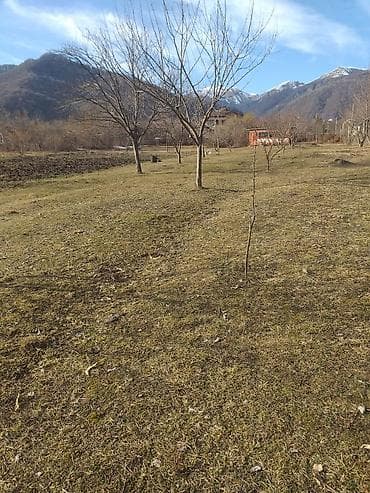 qalada xasaxunada ev torpaq: Tikinti — 1