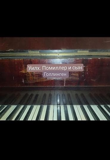 Antik kuyruklu piano – Wills. Pethmüller & Sohn, Göttingen - — 5