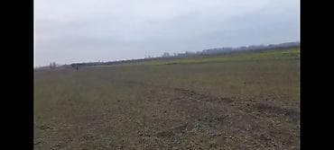 Kənd təsərrüfatı