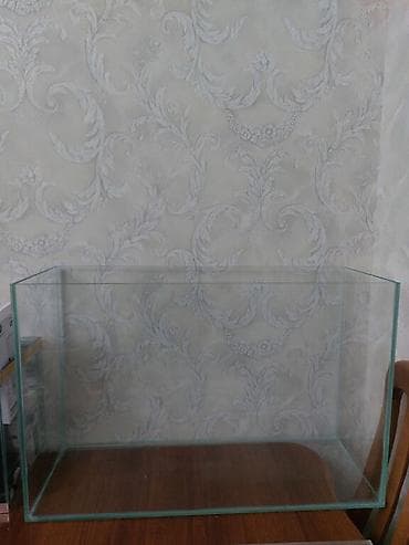 naxcivan heyvan elanlari: Õlçü 70×46×25 6 lıq şüşə Radaj palirofqa olunub idal ölçü. çatdırılma — 1