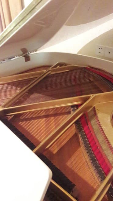 piano dersleri baki: Royal əla vəziyyədə. Köklənib kamirtondadı. Cadırılma və köklənmə — 1