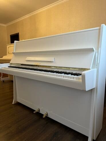 Пианино: Пианино, Petrof, Акустический, Новый, Бесплатная доставка — 4