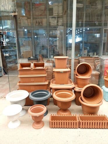 Digər bitkilər: Dibçək. Müxtəlif ölçü və modellər mövcuddur. Fərqli qiymətlərdədir — 3