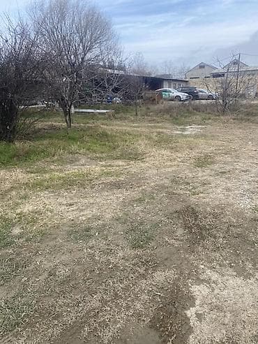 icare ofis: Satışa uyğun təsərrüfat/istehsalat sahəsi - Tikili: Bir mərtəbəli — 4