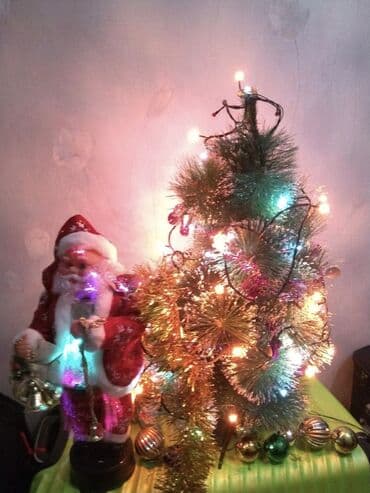 купить живую елку в баку: Yolka işıq oyuncaq, papaqlar ve şaxtababa ile birlikde satılır — 2