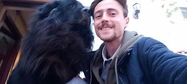 ata sigorta: 🐾 DOGGIES_X WALKING • BAKU Последние 5 лет собаки — часть моей жизни — 5