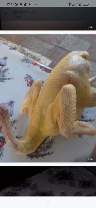 Ət və dəniz məhsulları: Məhsul: Təbii kənd toyuğu – bütöv, təmizlənmiş (dərili) Təsvir: - — 3