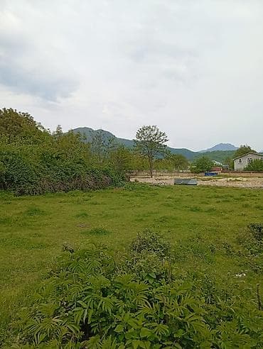 şirvanda torpaq satışı: 12 sot, Tikinti, Mülkiyyətçi, Kupça (Çıxarış) — 6