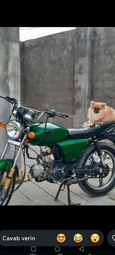 mapedlər: Yaşıl rəngli yüngül motosiklet - Korpus: metal çən və plastik yan — 5
