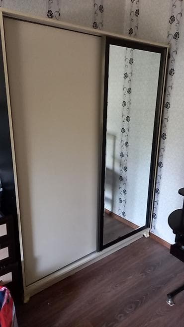 İşlənmiş, 2 qapılı, Güzgülü, Rəngli, Taxta, Kupe, Düz dolab