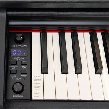 elektro piyano: Piano, Rəqəmsal, Yeni, Pulsuz çatdırılma, Ödənişli çatdırılma, Ünvandan götürmə — 4