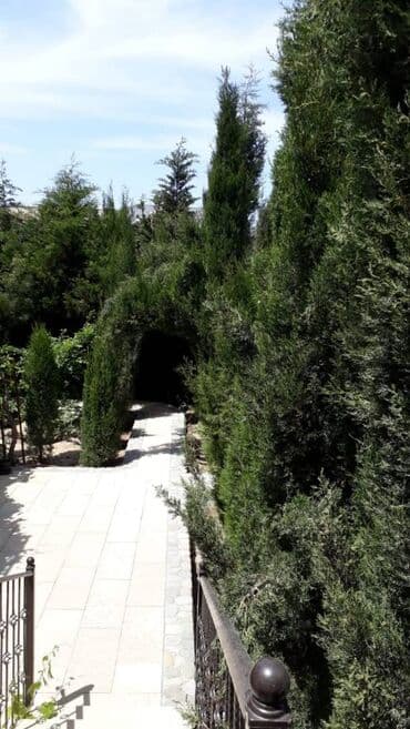 qaracuxurda ev: 200 kv. m, 5 otaqlı — 8