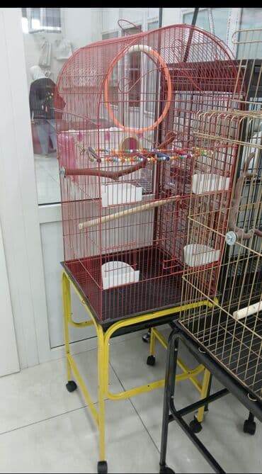 xamyak qefesi: Her novde her qiymete qefeslermiz var catrilma var metrolara rayolara — 3