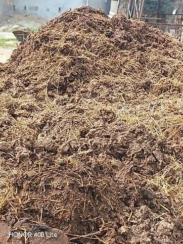 Təbii üzvi gübrə – mal peyini Məhsul təsviri: - Heyvandarlıq — 4