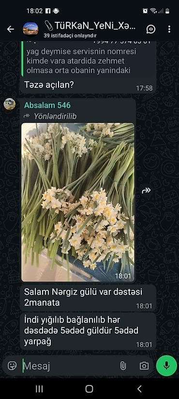 Nərgiz gülü dəstləri - Çiçək: ağ-sarı rəngli nərgiz (xoş ətirli lalafo.az -da Nərgiz gülü dəstləri - Çiçək: ağ-sarı rəngli nərgiz (xoş ətirli