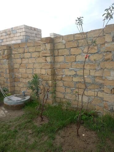 недвижимость в баку из рук в руки: 2 sot, Tikinti, Mülkiyyətçi, Kupça (Çıxarış) — 9