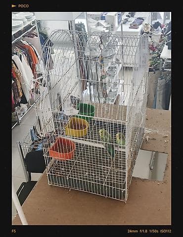 tutuquş: Ağ metal quş qəfəsi – dalğıclı kemerli üst hissə ilə geniş ölçülü — 3
