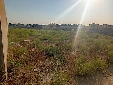 6000: SEA BREEZE _dən 2 kilometr aralı 14 sot torpaq satılır. Sotu 6000 azn — 4