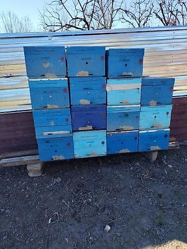 Arıçılıq üçün taxta arı pətəkləri - Material: qalın taxtadan