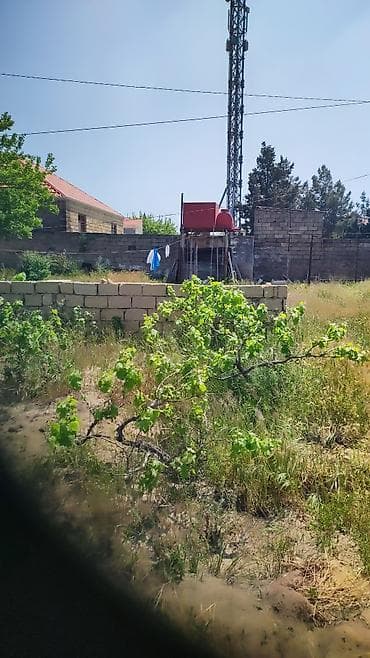 8 sot, Tikinti, Mülkiyyətçi, Kupça (Çıxarış) — 8