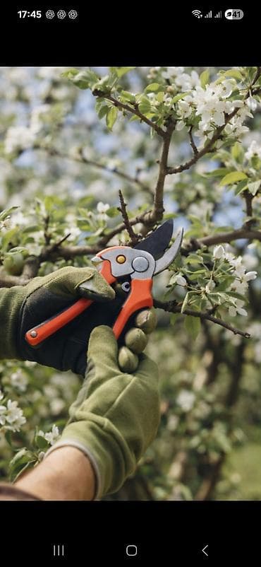 Bağ qayçısı, Polad