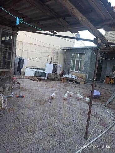 neftçilər ev: Suraxani ray qaracuxur qes. Mecid və 16 meterebeli binanin arxasi — 4