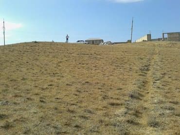 8 sot, Tikinti, Mülkiyyətçi