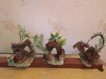 akvarium balığı: 1212 l — 2