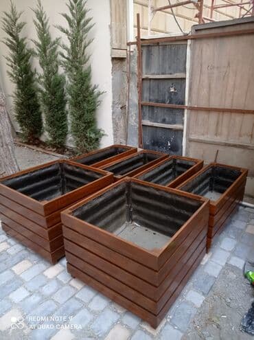 dibçek gulleri: Dibçək güldanlar. Dipçəklər bir başa sexdən.Sex qiymətinə. ♦️Endrim — 10