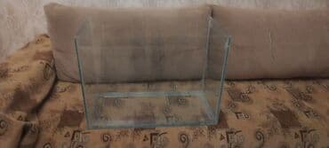 pulsuz pişik balaları: Şüşə akvarium - Material: şəffaf şüşə, künclər - Forması: düzbucaqlı — 3