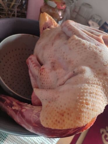 Musk ördəyi – kəsilmiş və təmizlənmiş - Növ: Musk (indo) ördəyi -