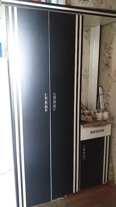 2 qapılı, Güzgülü, Rəngli, Digər material, Açılan, Düz dolab