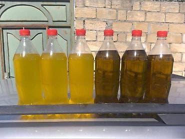 Təbii Zeytun yağı Premium keyfiyyət Tam tebii, qatqisiz soyuq sixim