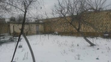 dübəndi torpaq: 10 sot, Tikinti, Makler, Kupça (Çıxarış) — 7