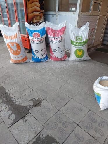 ağdaş yem fabriki: Salam Cücə yeminin satişi zakzlada çatdırılma var Sumqayıt daxili — 3