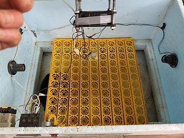 inkubator cucesi: 100 yumurta, Azərbaycan, Tam avtomat, Bütün növ quşlaq üçün — 9