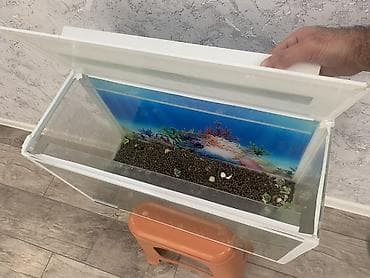 akvarium dirnaq: Dördbucaq akvarium, Boş, 20 l, Ünvandan götürmə — 2