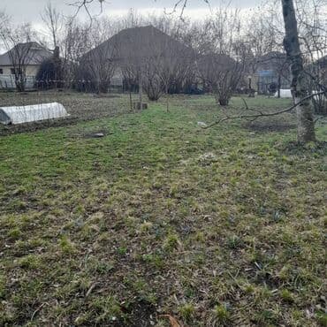 8 sot, Tikinti, Bələdiyyə lalafo.az -da 8 sot, Tikinti, Bələdiyyə