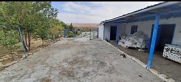 ramana gülçülük sovxozu: Ferma/Təsərrüfat sahəsi - Tamamilə hasarlanmış geniş həyət, metal tor — 2