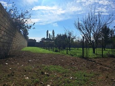 novxanıda həyət evləri: Kənd təsərrüfatı — 18